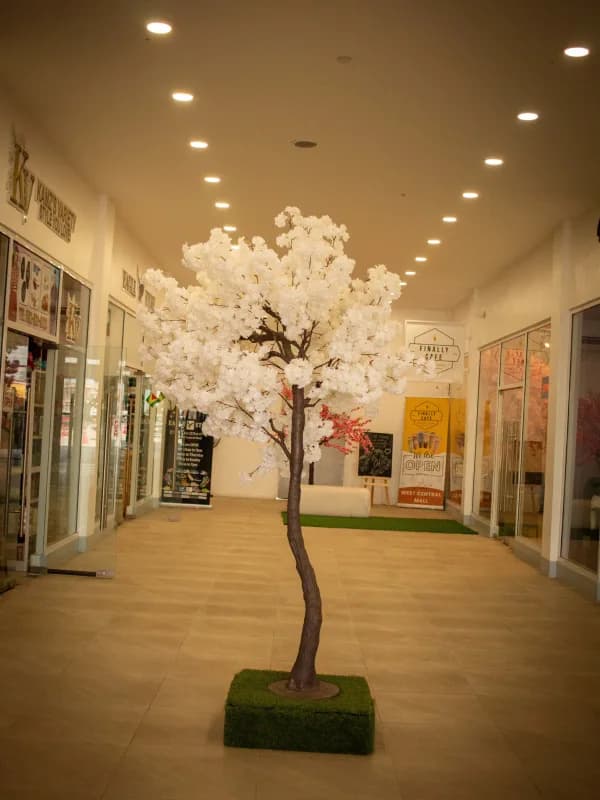 Commercial event photography by BizAssist for West Central Mall